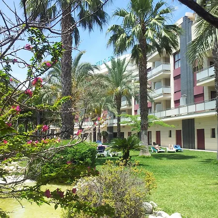 Daniya & Business 4*