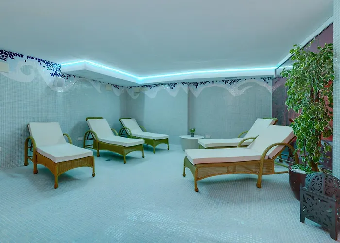 Hotel Daniya & Business 4* 4*